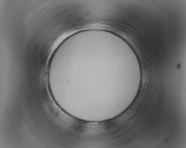 X0000115671478200912031344