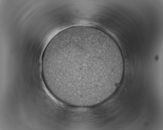 X0000115671479200912031344