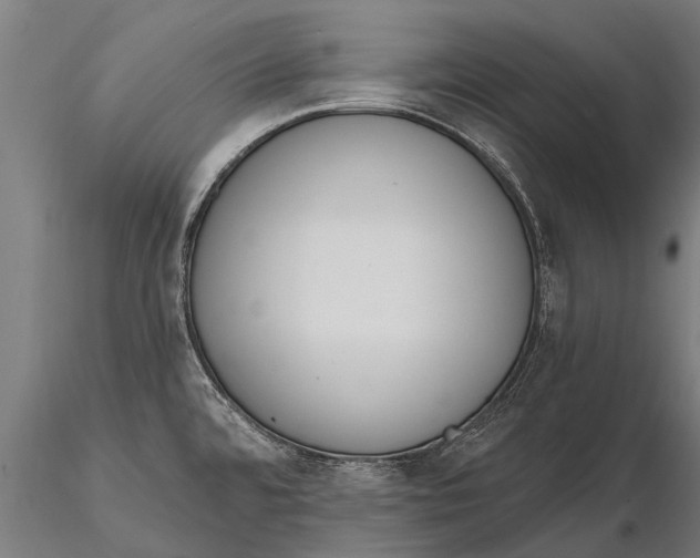 X0000115671480200912031344