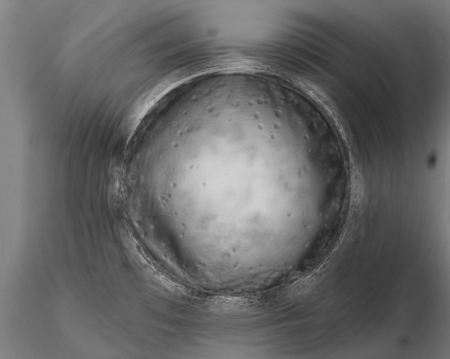 X0000115671481200912031344