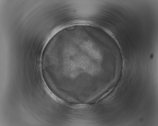 X0000115671482200912031344