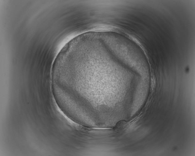 X0000115671487200912031344