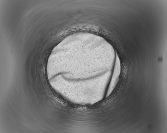 X0000115671489200912031343