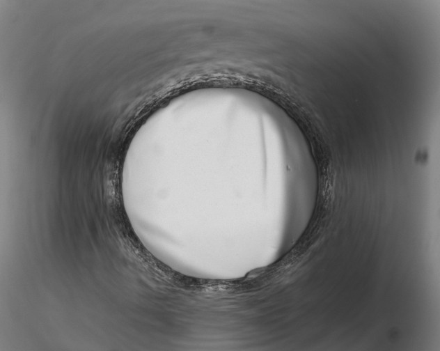 X0000115671490200912031343