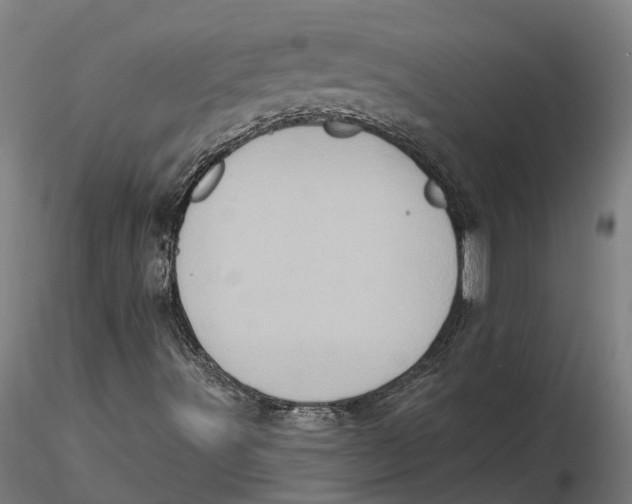 X0000115671491200912031343