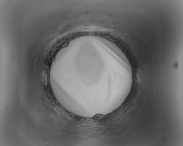 X0000115671493200912031343