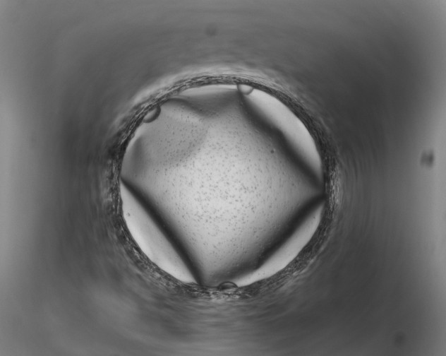 X0000115671494200912031343