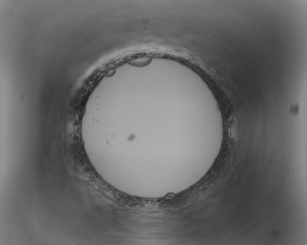 X0000115671495200912031343