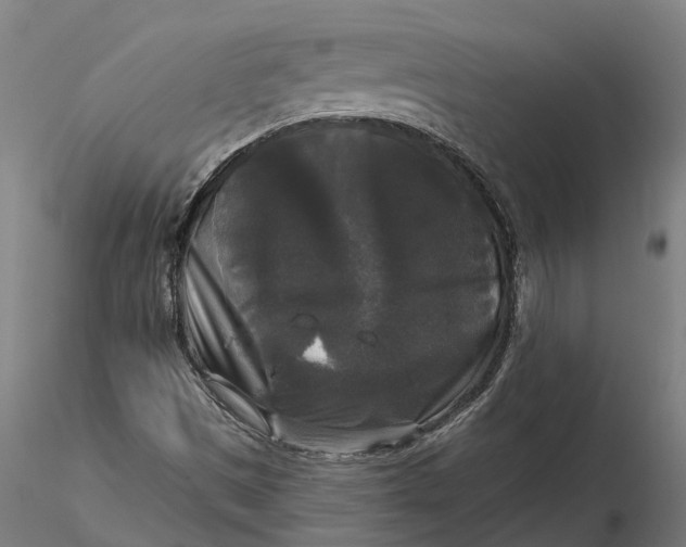 X0000115671497200912031343