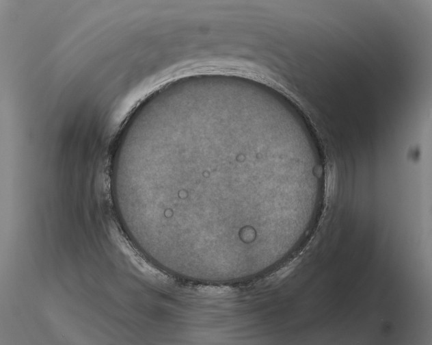 X0000115671498200912031343