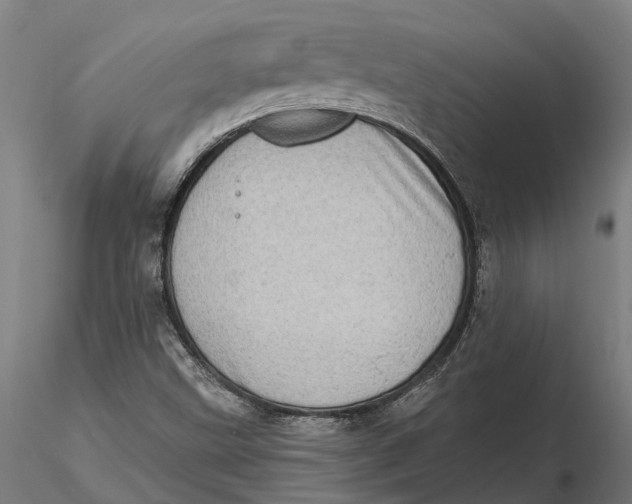 X0000115671499200912031343