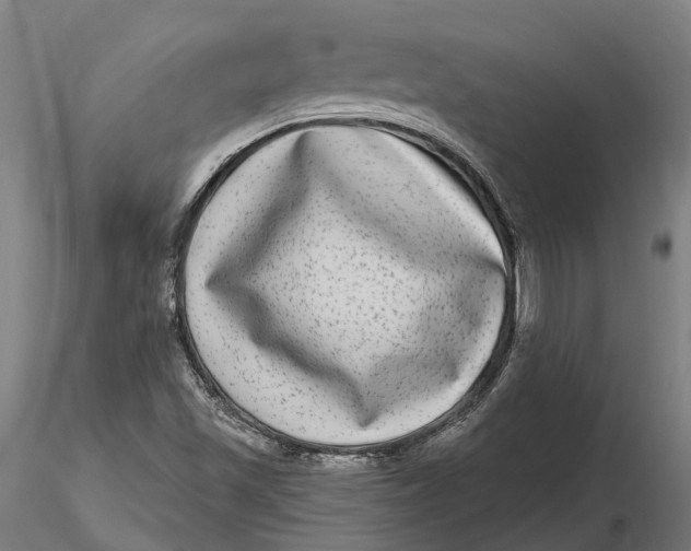 X0000115671501200912031343