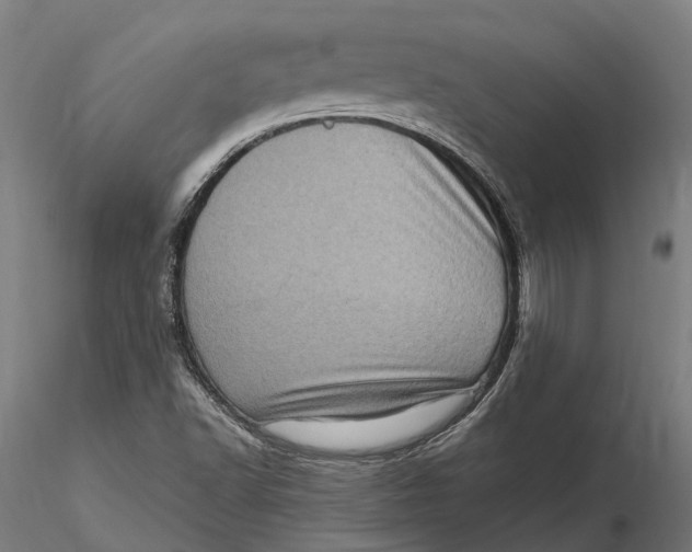 X0000115671502200912031343