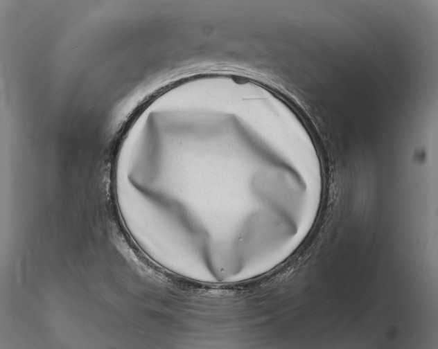 X0000115671503200912031343