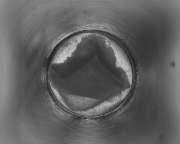 X0000115671505200912031343