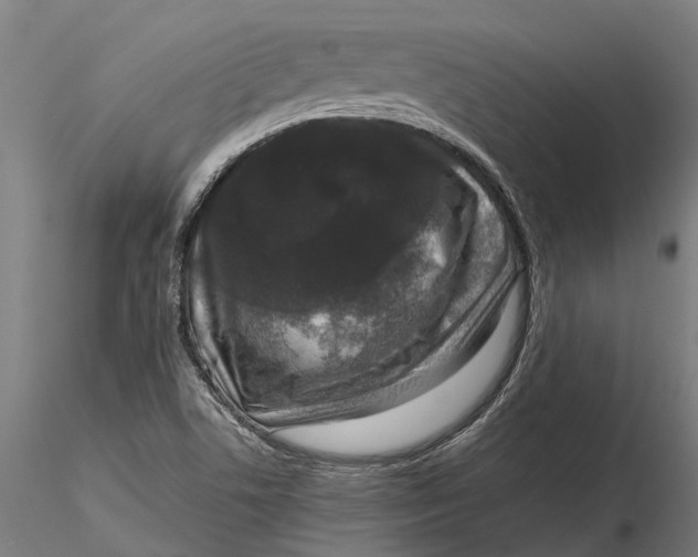 X0000115671506200912031343