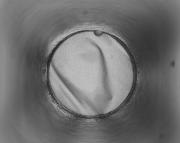 X0000115671507200912031343