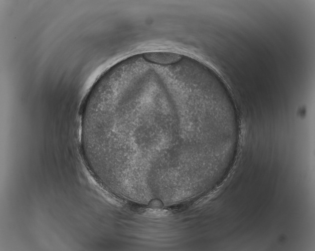 X0000115671509200912031343