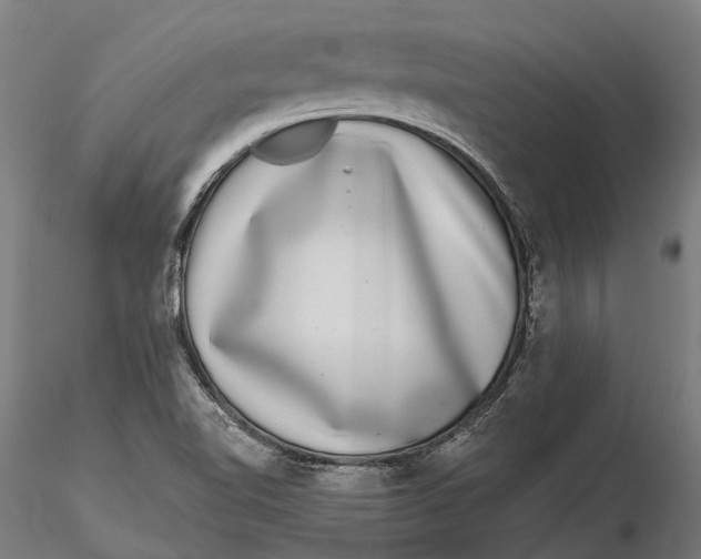 X0000115671510200912031343