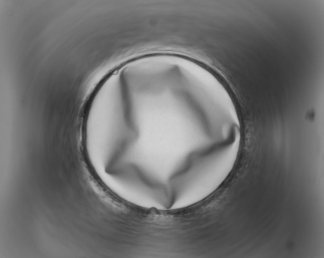 X0000115671511200912031343