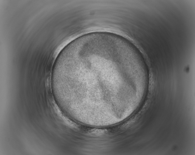 X0000115671513200912031343