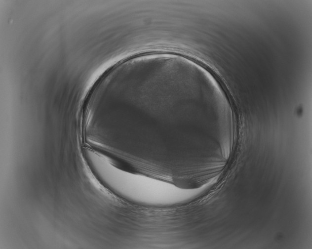 X0000115671515200912031343