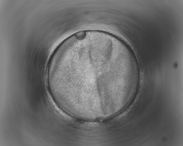 X0000115671517200912031343