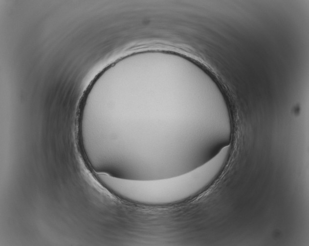 X0000115671518200912031343