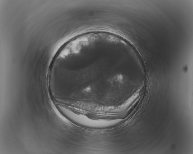 X0000115671519200912031343