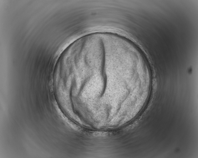 X0000115671521200912031343