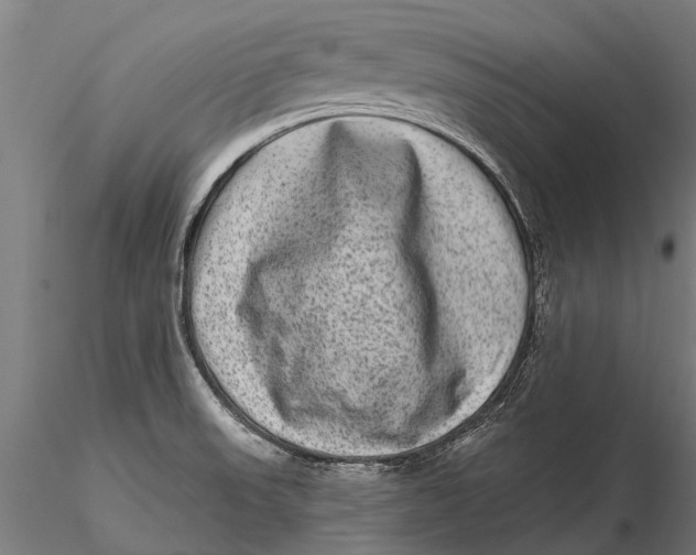 X0000115671523200912031343