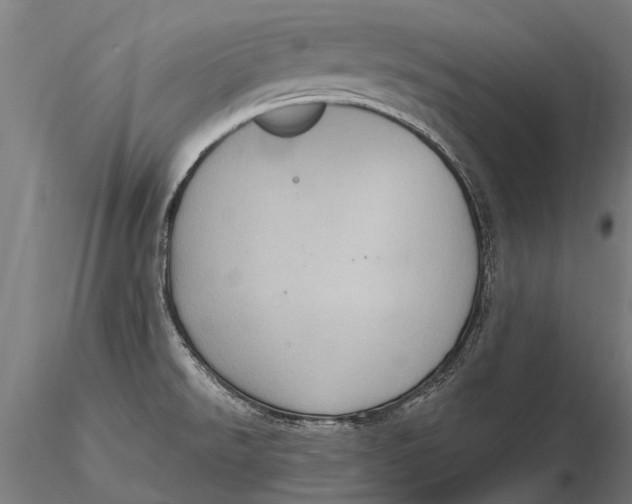 X0000115671526200912031344