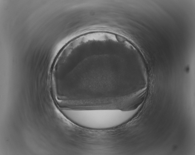 X0000115671527200912031344