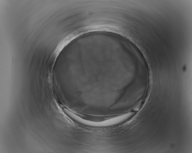 X0000115671529200912031344