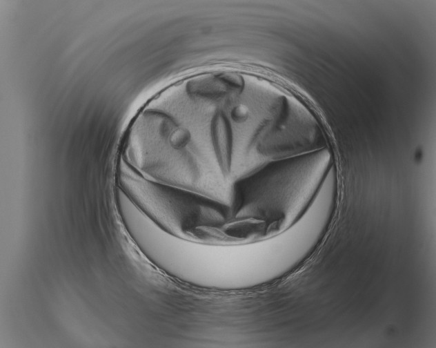 X0000115671530200912031344