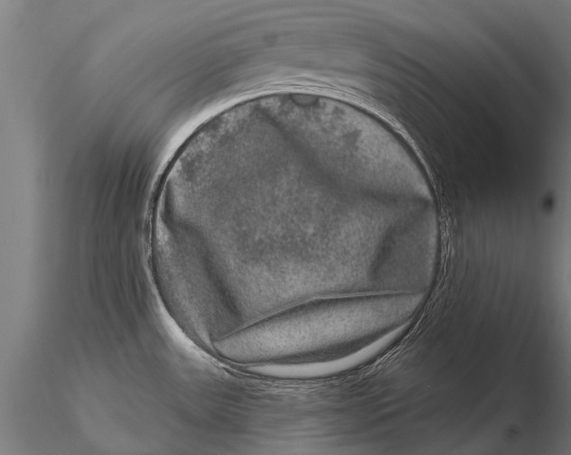 X0000115671531200912031344