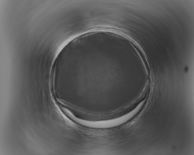 X0000115671533200912031344