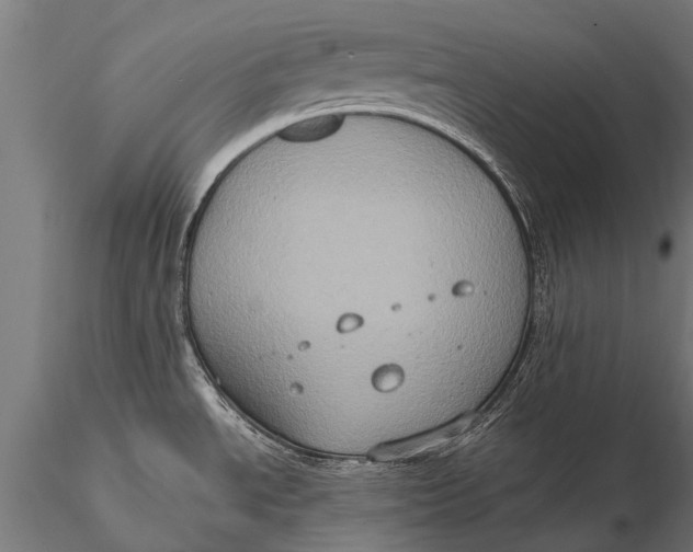 X0000115671534200912031344