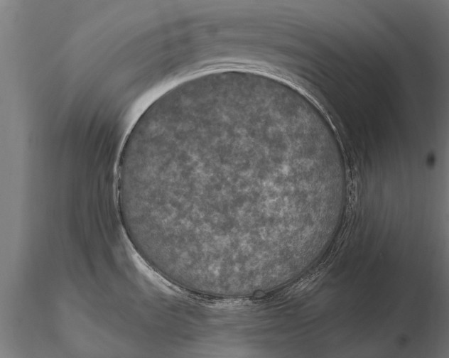 X0000115671535200912031344