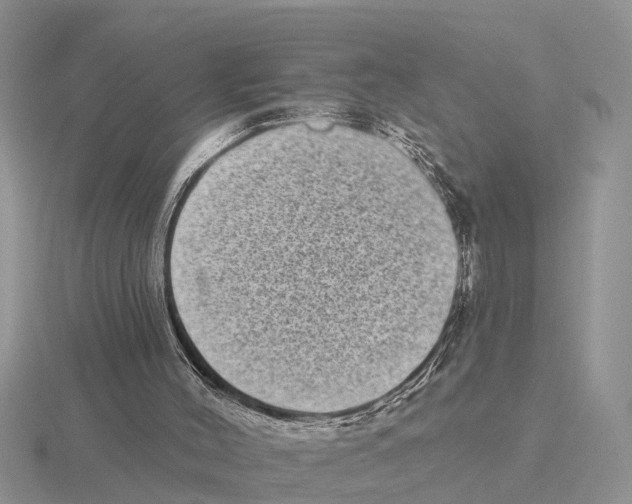 X0000115670004200912101122