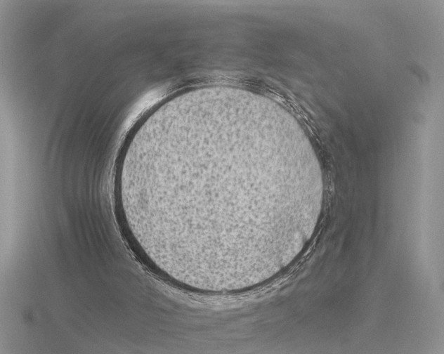 X0000115670006200912101122