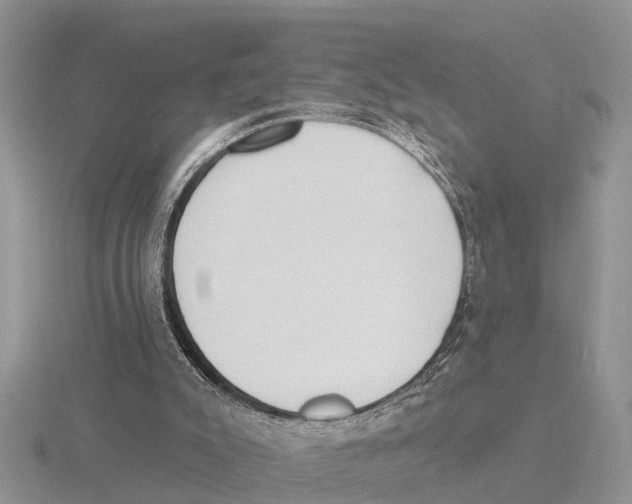 X0000115670007200912101122