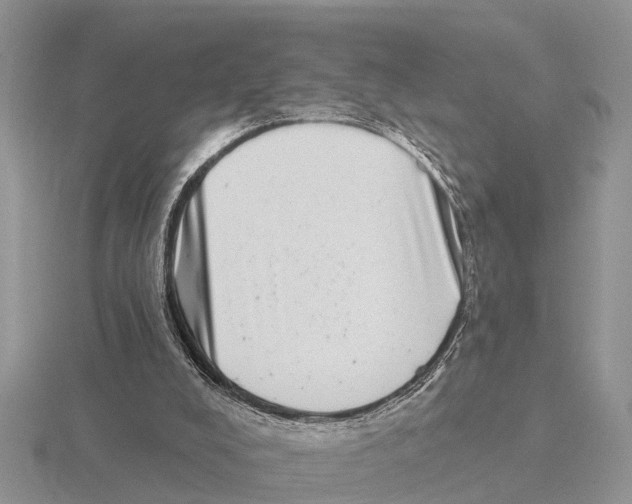 X0000115670008200912101122