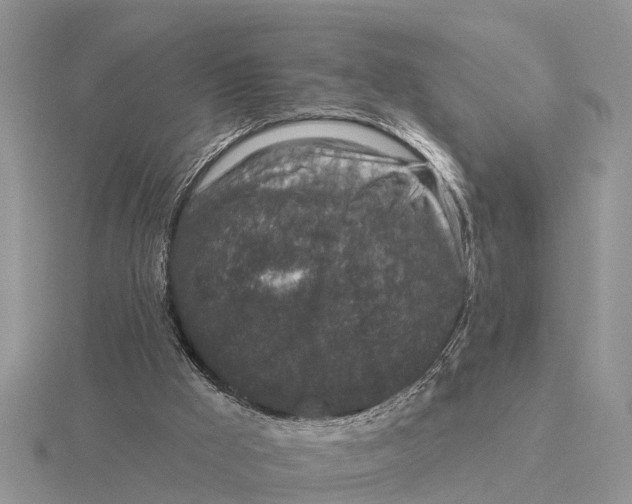 X0000115670009200912101122