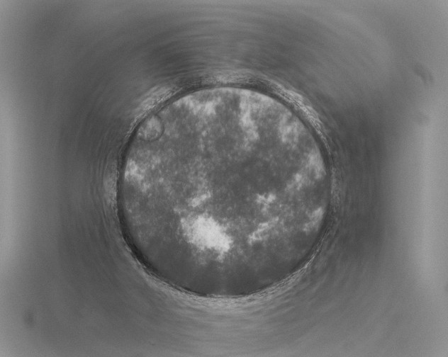 X0000115670010200912101122