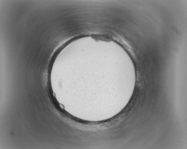 X0000115670012200912101122