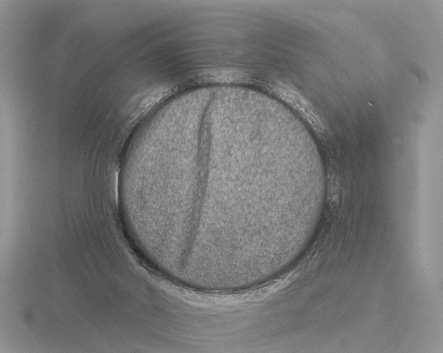 X0000115670014200912101122