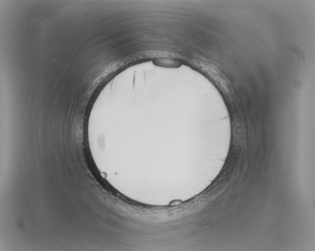 X0000115670015200912101122