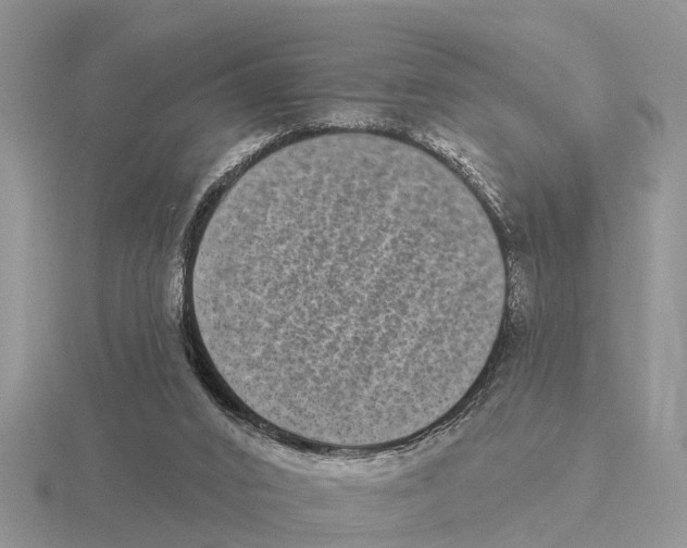 X0000115670016200912101122