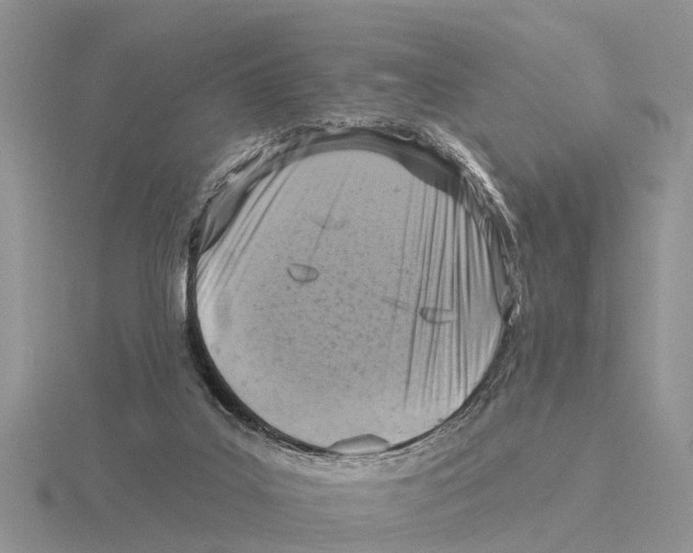 X0000115670019200912101122